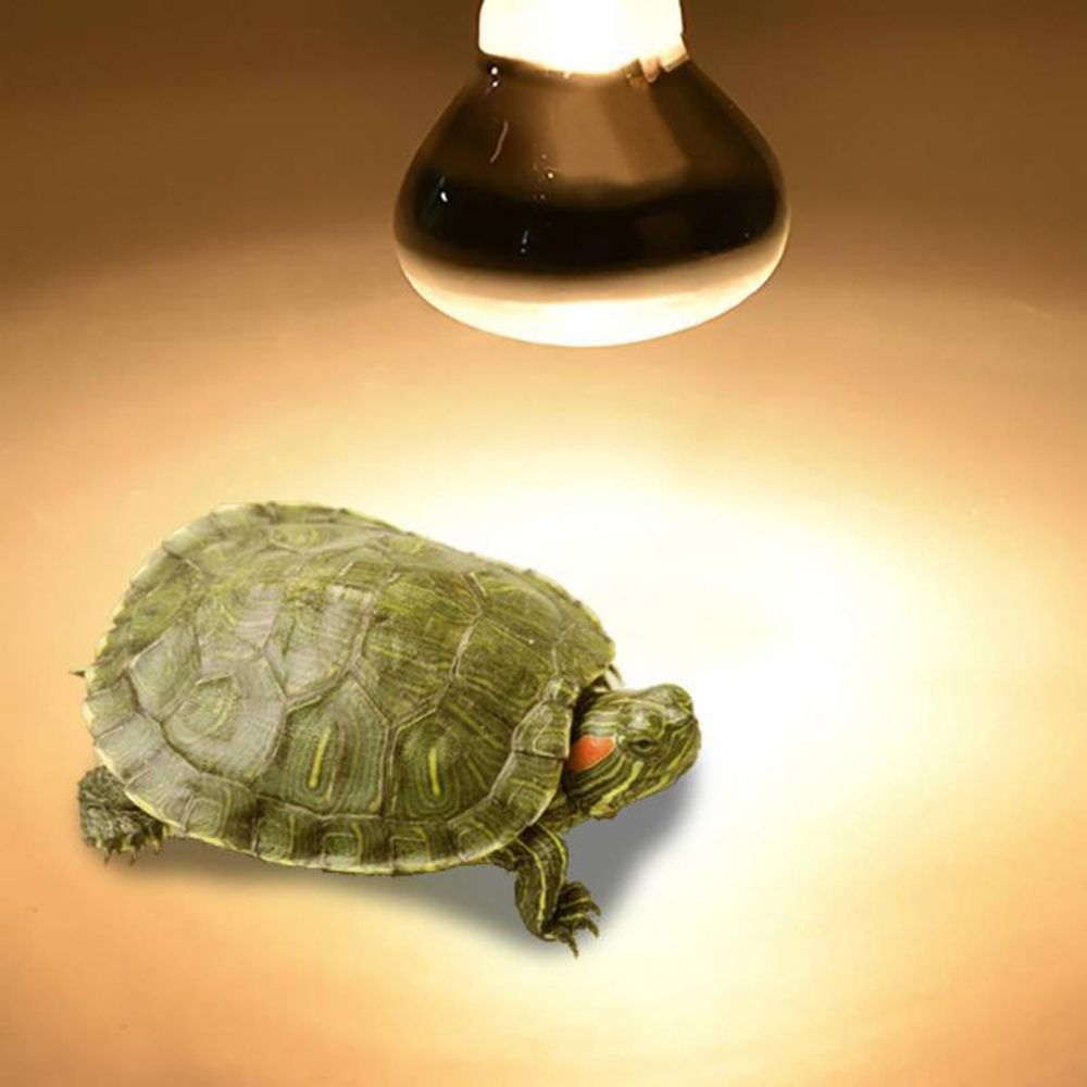 Basking Bulb Halogen - リザードヒーターヒートランプUVAライト爬虫類ハロゲン電球日光浴ライト