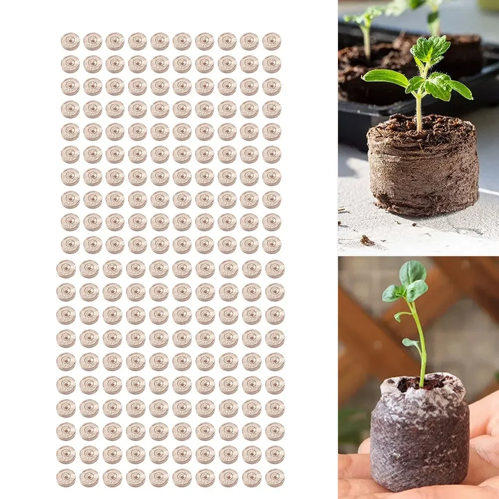 Substrate Coconut Fiber - 100個入り圧縮ココヤシペレット、天然ココナッツ繊維基質を使用した植物の発芽と繁殖用、植物ケア用