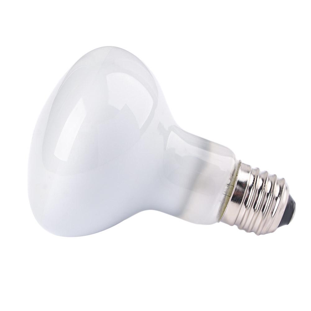 トカゲ用温度調節器 ヒートランプ ハロゲン電球 日光浴ライト - Basking Bulb Halogen のレビューと価格