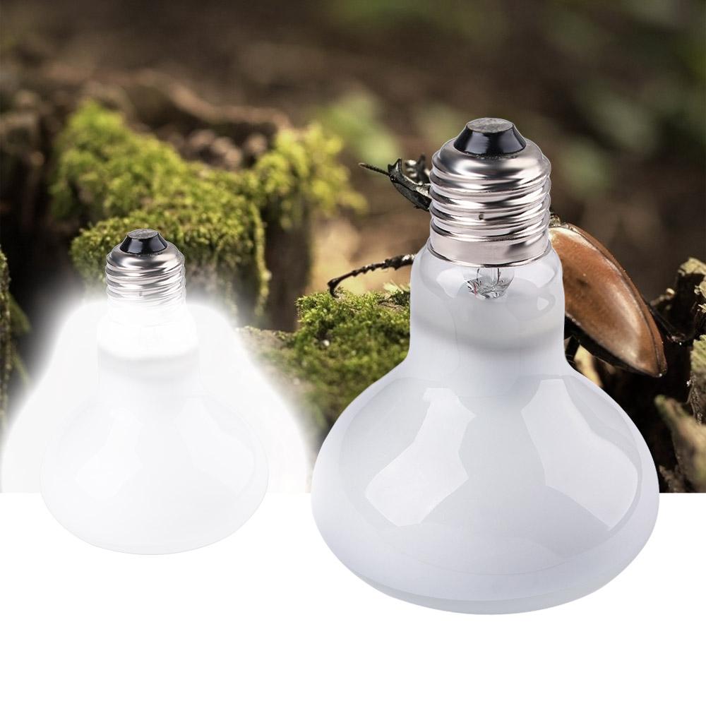 両生類用温度調節器 ヒートランプ ハロゲン電球 UVAライト - Basking Bulb Halogen のレビューと価格