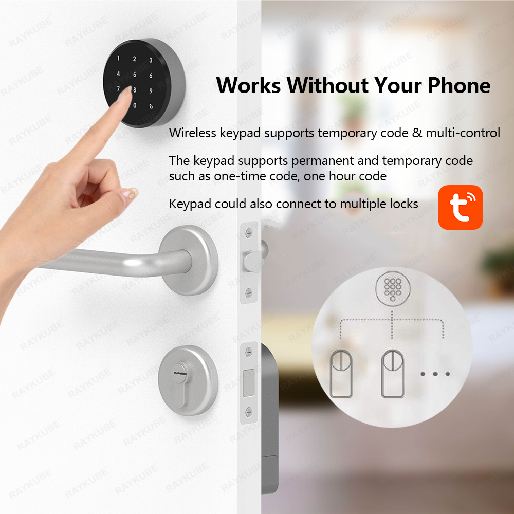 RAYKUBE A1 Pro Tuya BEL スマートドア - Glass Door Hinge のレビューと価格