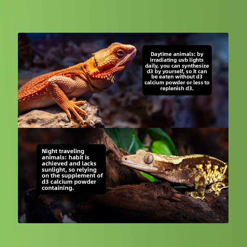 Reptizoo 爬虫類カルシウムパウダー & D3 - カ - Vitamin D3 Reptile のレビューと価格