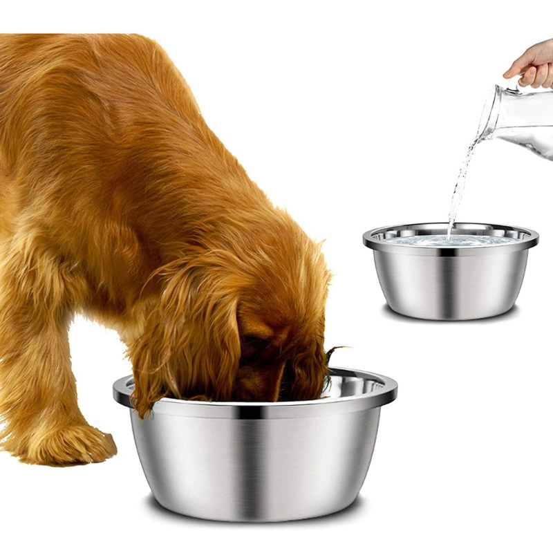犬用の丸いステンレス製のフィードバック,小,中,大の犬用の食 - Royal Canin Food Medium のレビューと価格