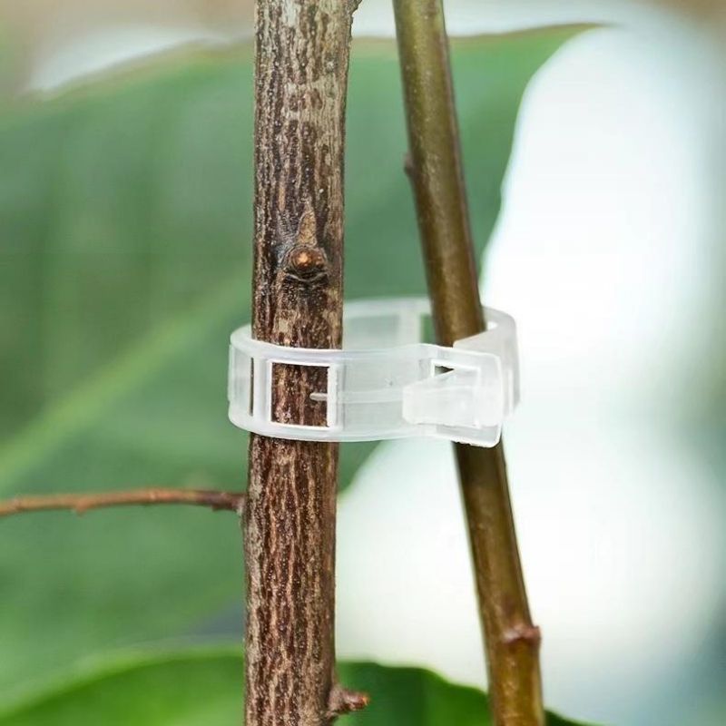 プラスチック製植物サポートクリップ 再利用可能なつる性植物固 - Vine Climbing Plastic のレビューと価格