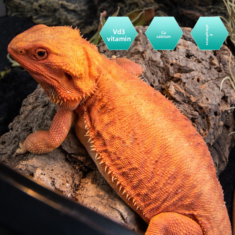 SuperRep Reptile カルシウム プロビタミン  - Vitamin D3 Reptile のレビューと価格