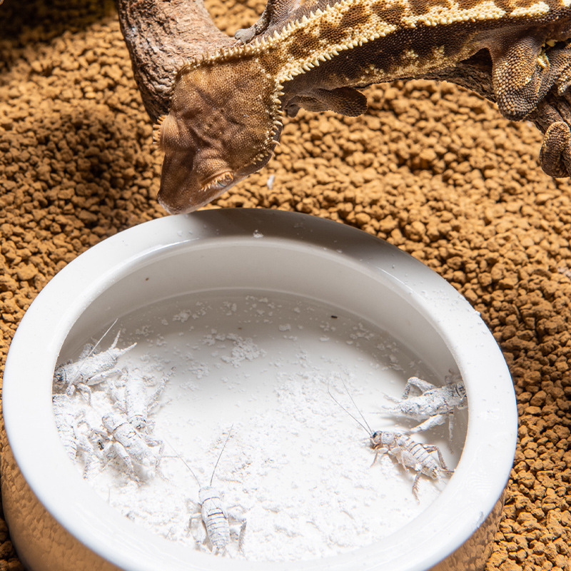 SuperRep Reptile カルシウム プロビタミン  - Vitamin D3 Reptile のレビューと価格
