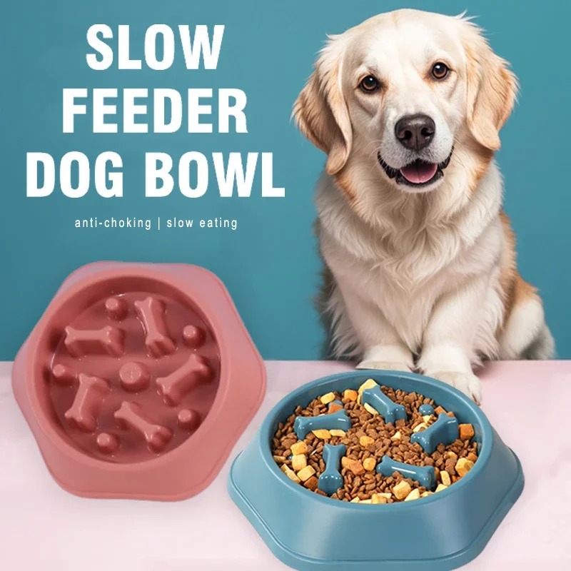 1個入りスローフィーダー犬用ボウル、窒息防止子犬用フードボウ - Royal Canin Food Medium のレビューと価格