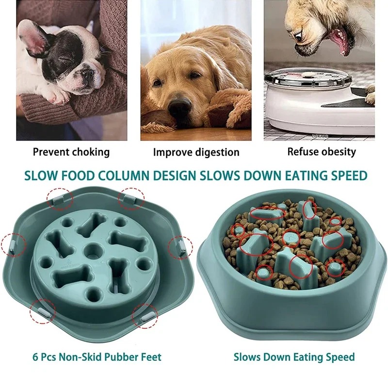 1個入りスローフィーダー犬用ボウル、窒息防止子犬用フードボウ - Royal Canin Food Medium のレビューと価格